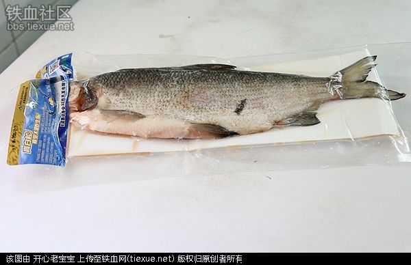 开吃一条来自赛湖里木湖的~~高白鲑鱼 - 新疆赛湖渔业